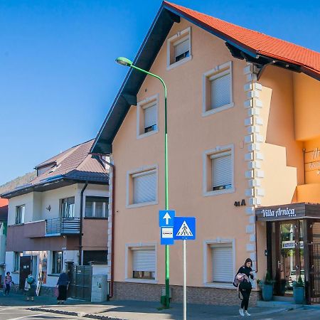 Villa Boutique Arnica ブラショフ エクステリア 写真