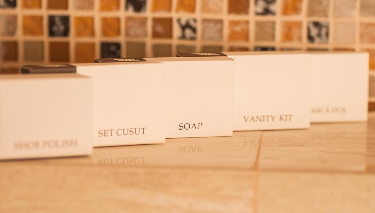 Villa Boutique Arnica ブラショフ エクステリア 写真