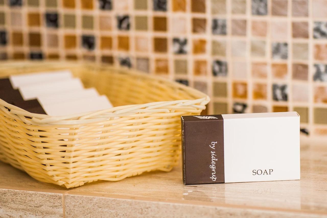 Villa Boutique Arnica ブラショフ エクステリア 写真
