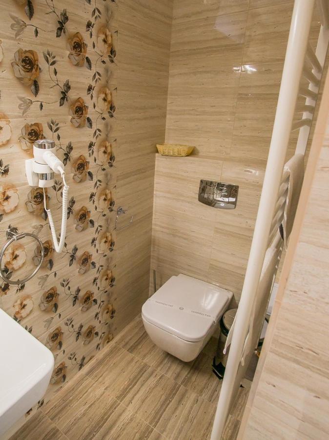 Villa Boutique Arnica ブラショフ エクステリア 写真